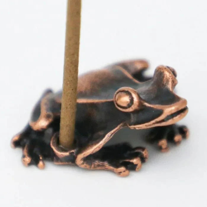 צפרדע מדיטטיבית